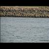 IMG_6477
3/21/2007 1:26:21 PM